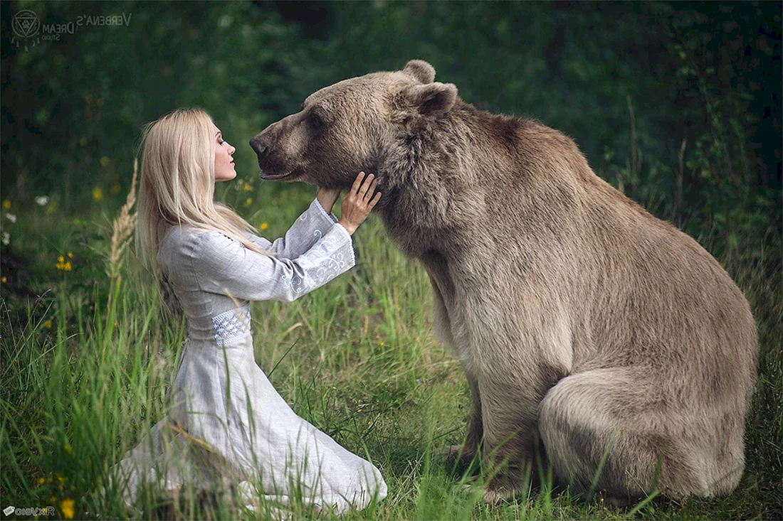 Дарья Лефлер медведь