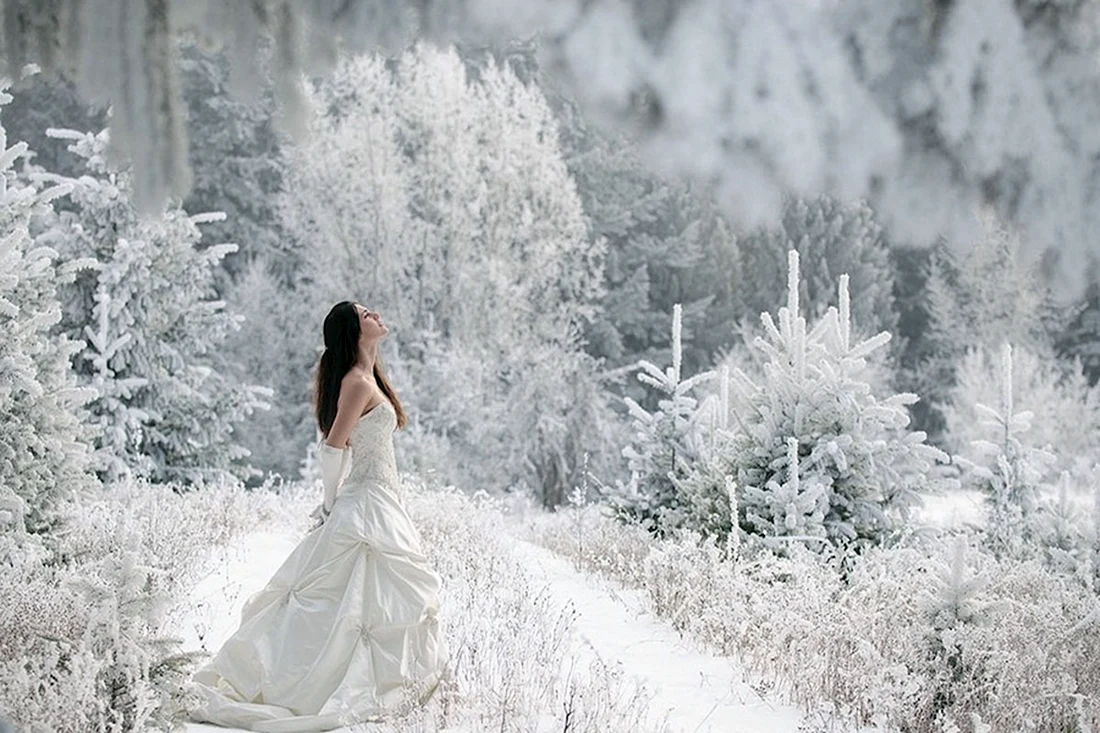Девушка в Снежном лесу