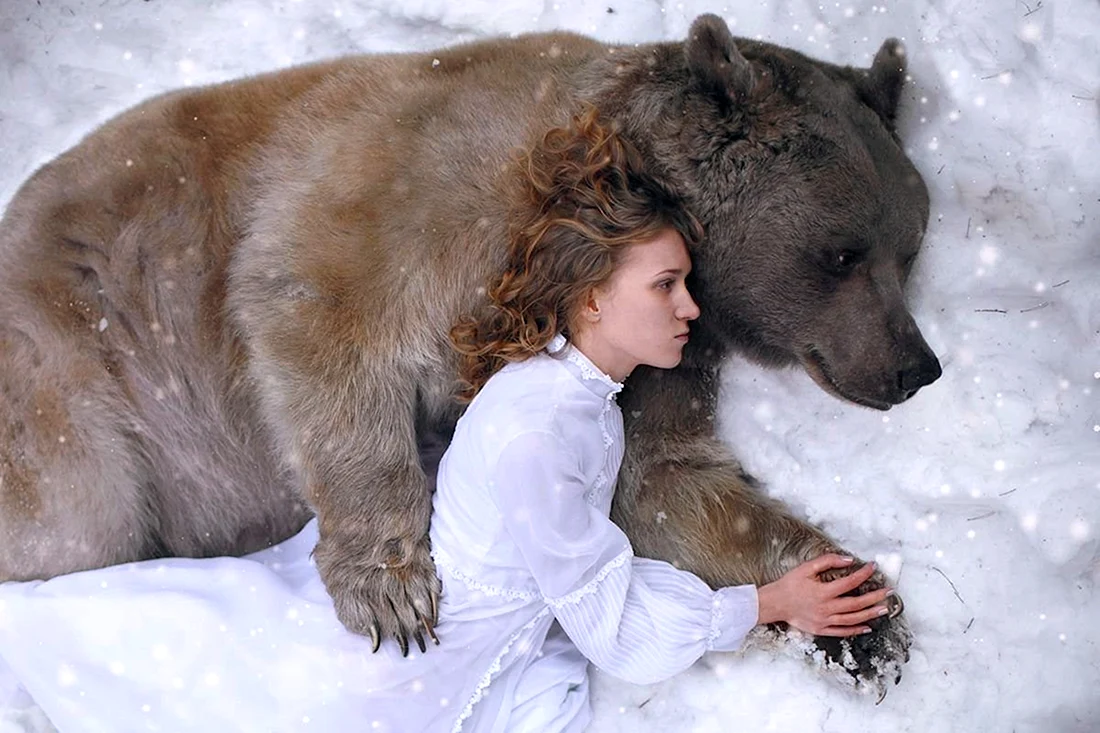 Катерина Плотникова медведь