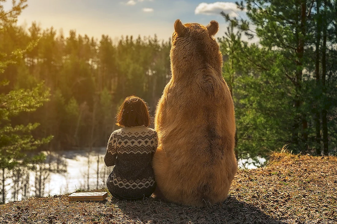 Медведь сидит спиной