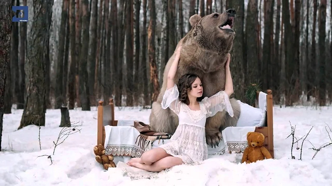 Медведь Степан Челябинск