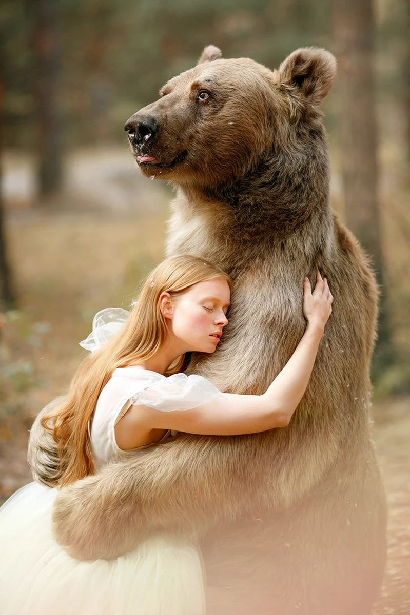 Медведь Степан Пантелеенко