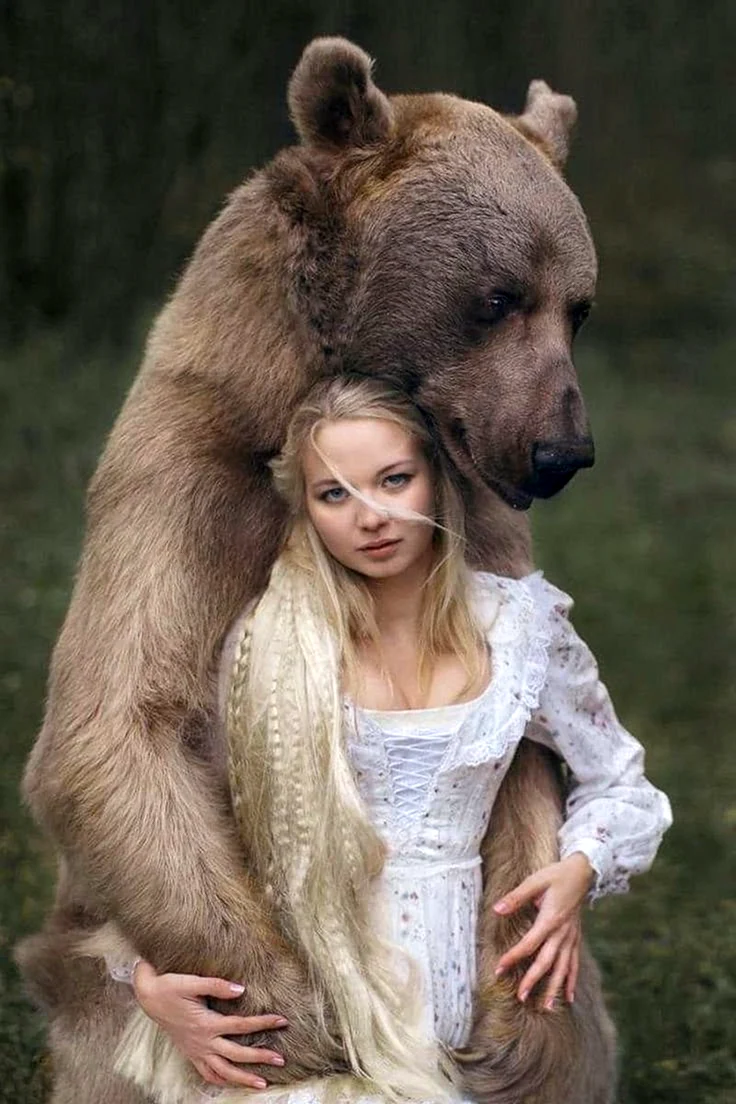 Медведь Степан Шапша