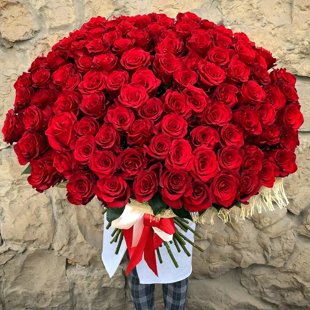 101 Красная роза Фридом