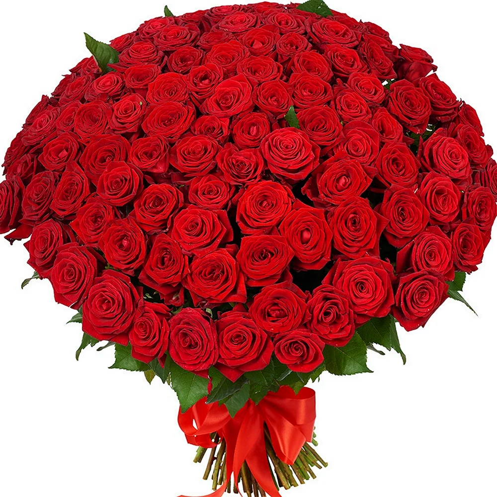 101 Красная роза ред Наоми