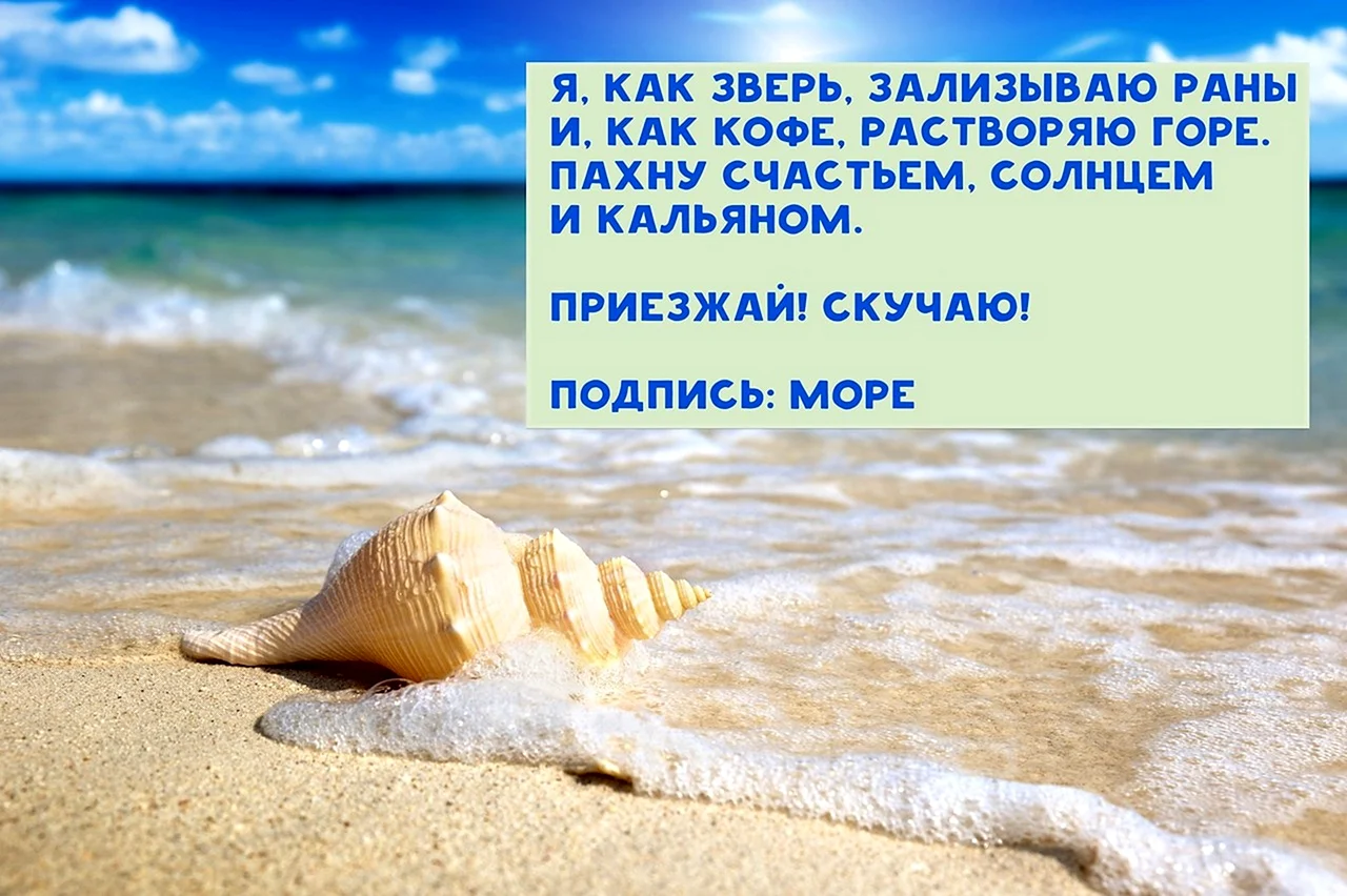 Цитаты про отпуск на море. Афоризмы про море. Статусы про море. Цитаты про море. Афоризмы на тему моря.