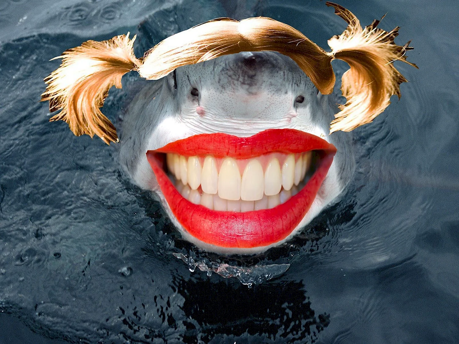 Акула улыбается