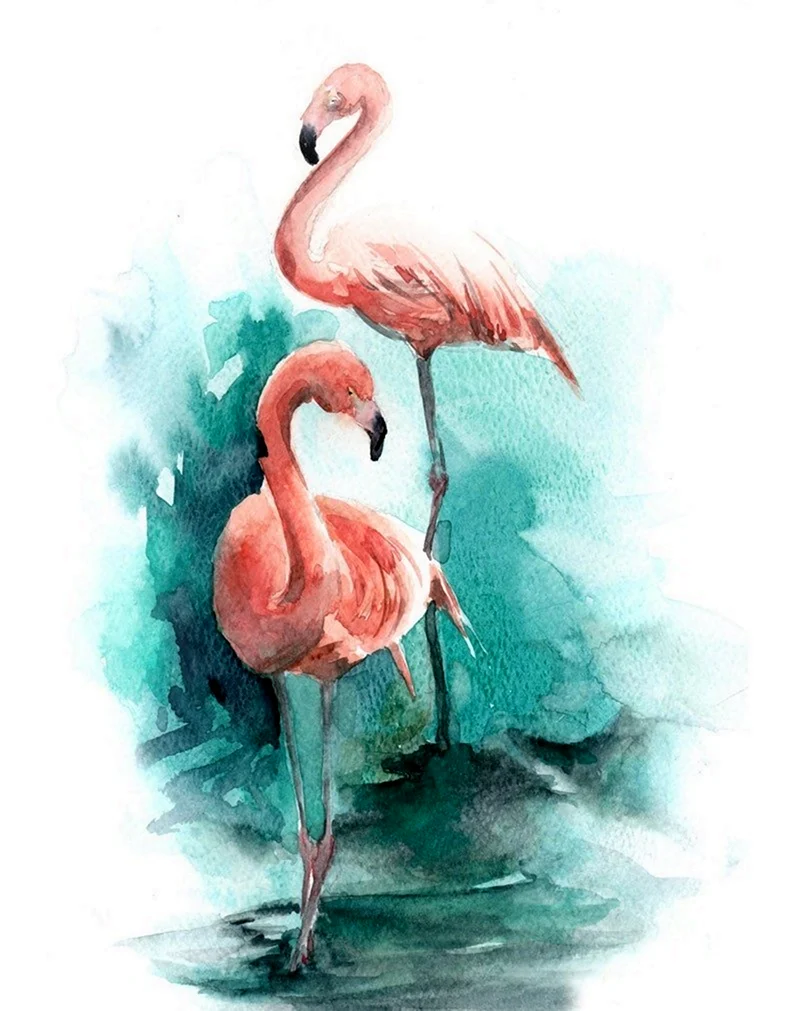 Акварельный Фламинго