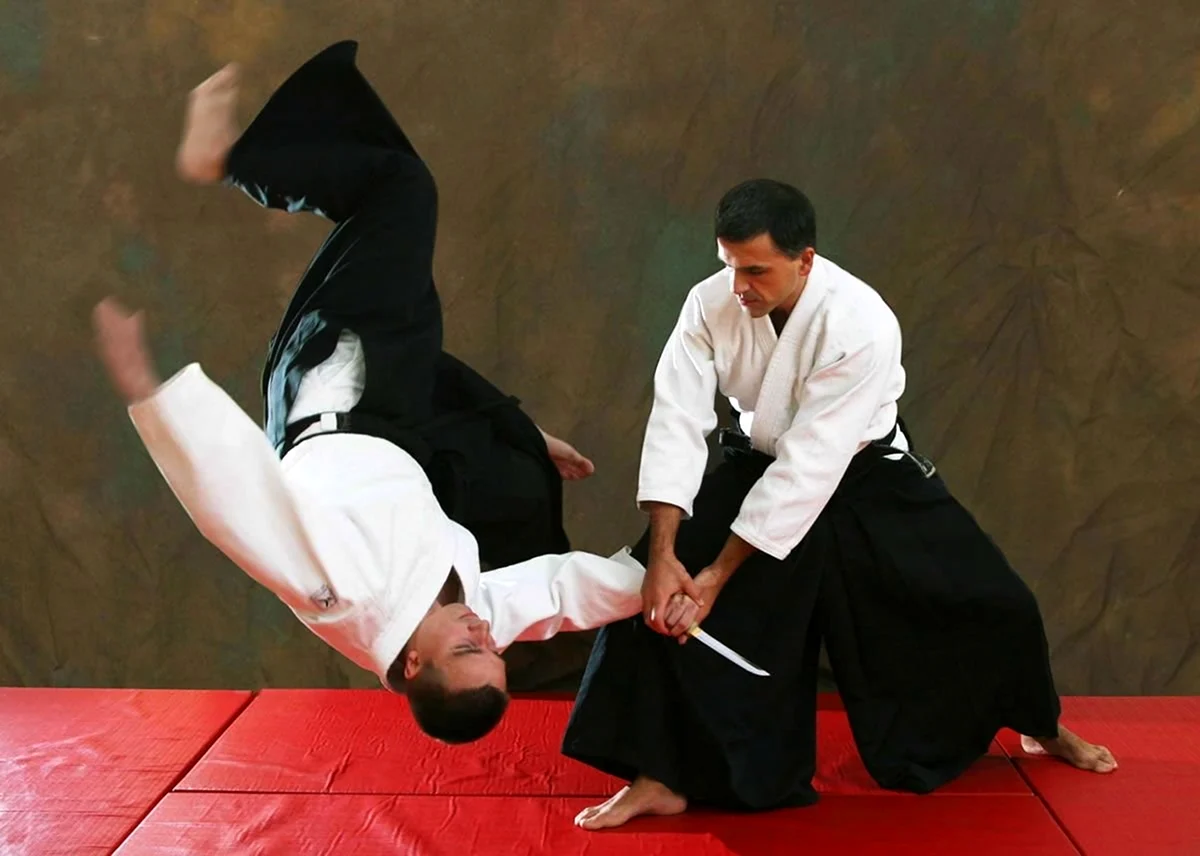 Идеи на тему «Aikido» (40) | айкидо, боевые искусства, самурайское искусство