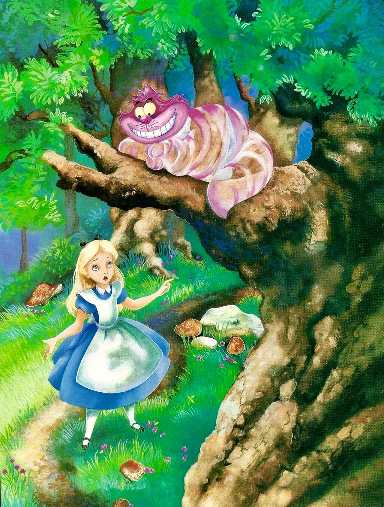Алиса в стране чудес Дисней Чеширский кот