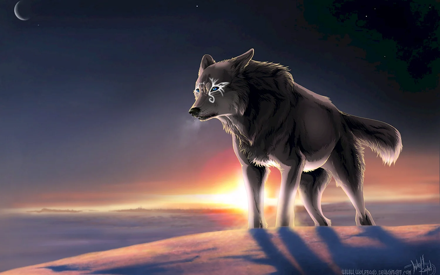 Амарок волк