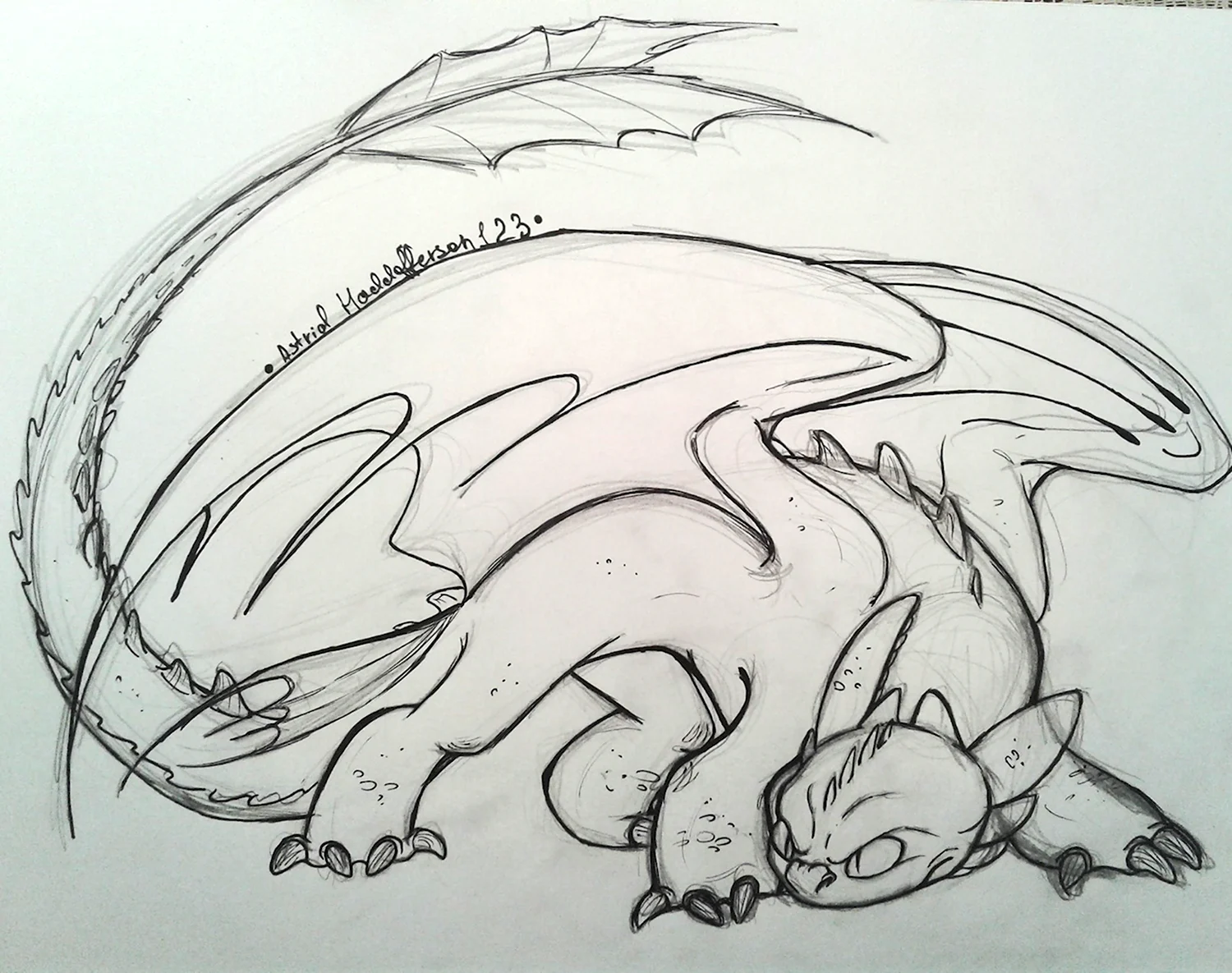 Раскраски драконы беззубик фурия (44 фото)