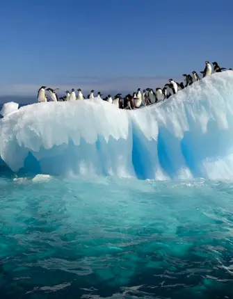 Антарктида материк айсберги