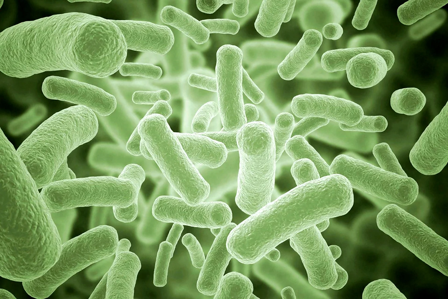 Антибиотик и бактерия микроскоп