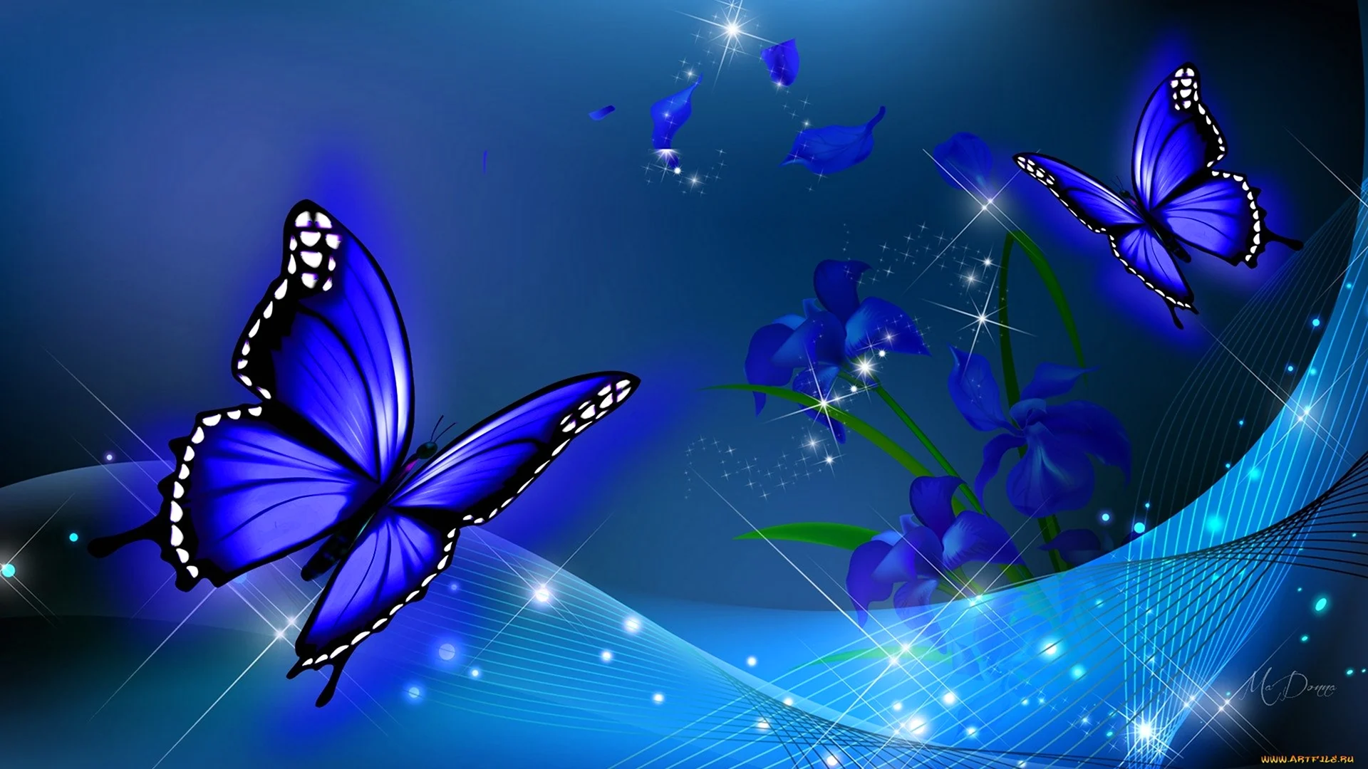 Бабочка на синем фоне