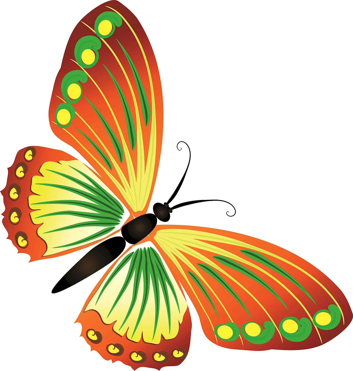 Изображения по запросу Красивая бабочка