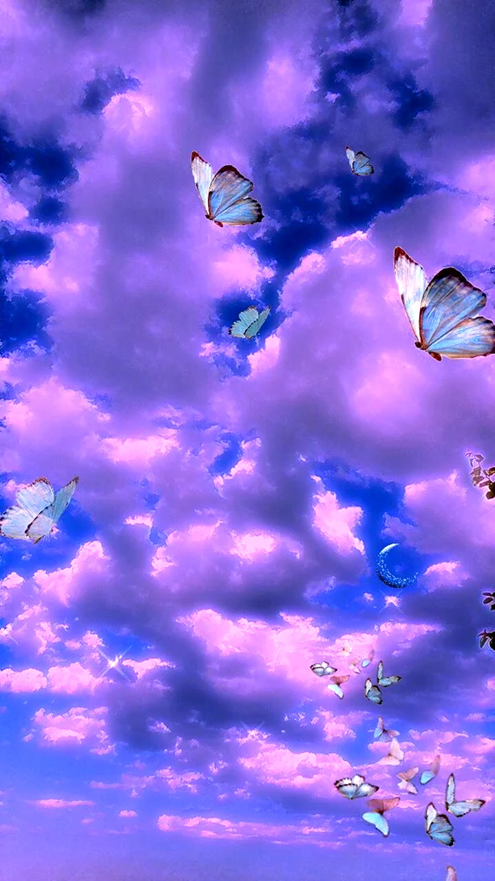 Бабочки в небе
