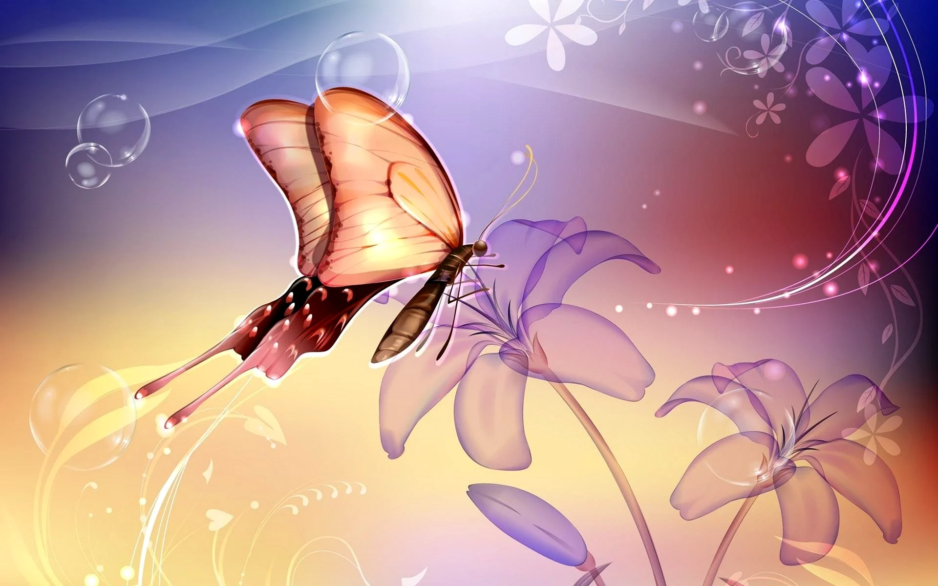 Бабочки волшебство