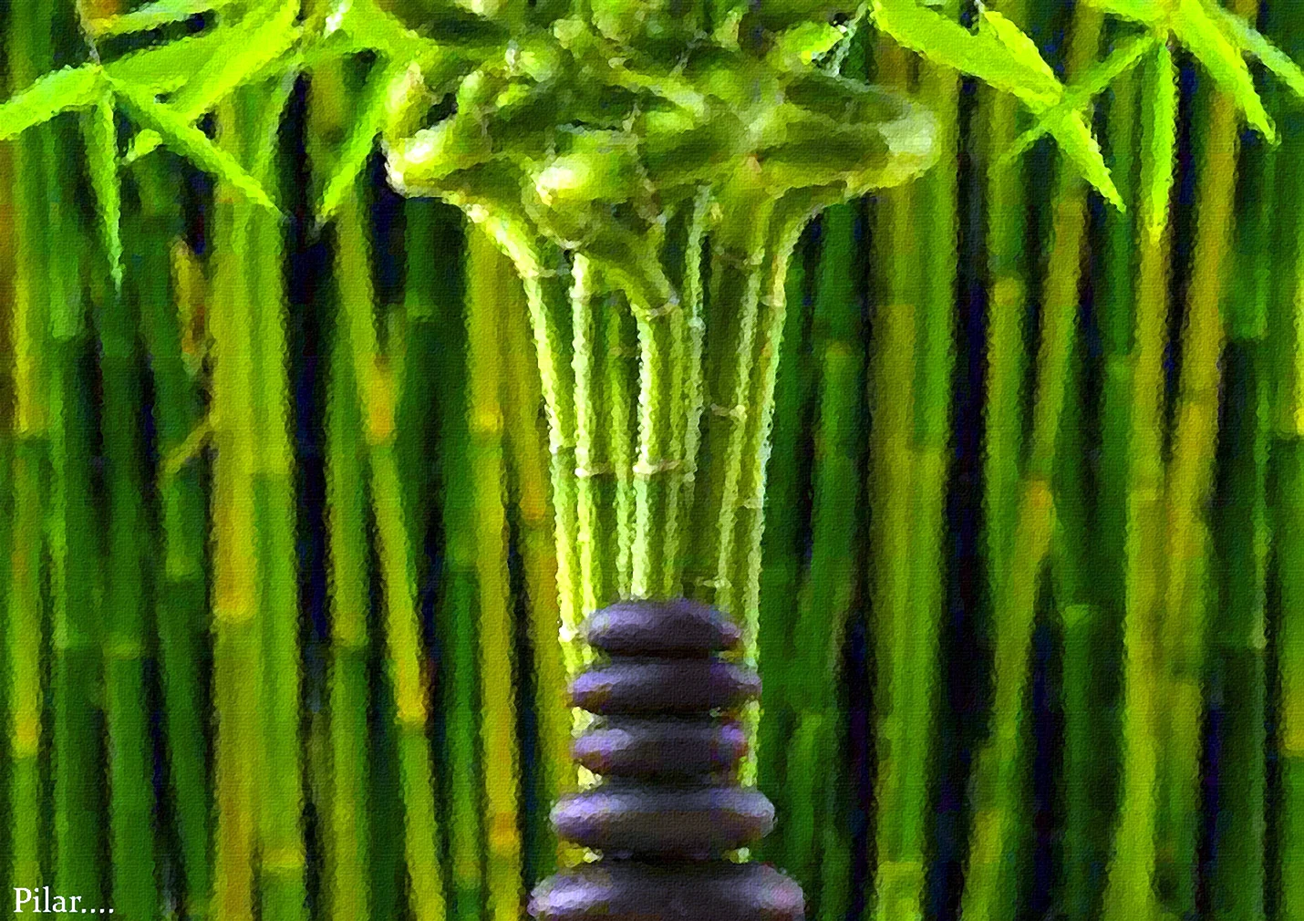 Бамбук фен шуй