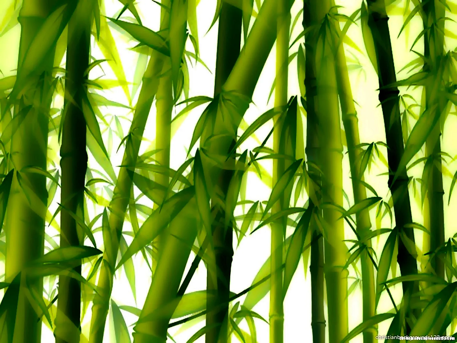 Бамбуковые листья
