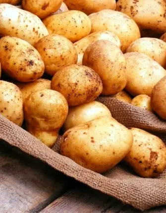 Башкирский сорт картофеля