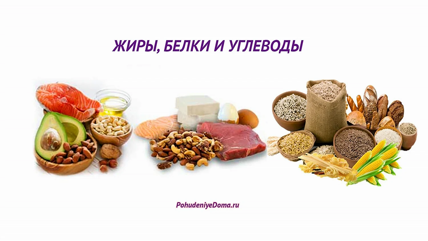 Картинки Состав продуктов: белки, жиры, углеводы (53 фото)