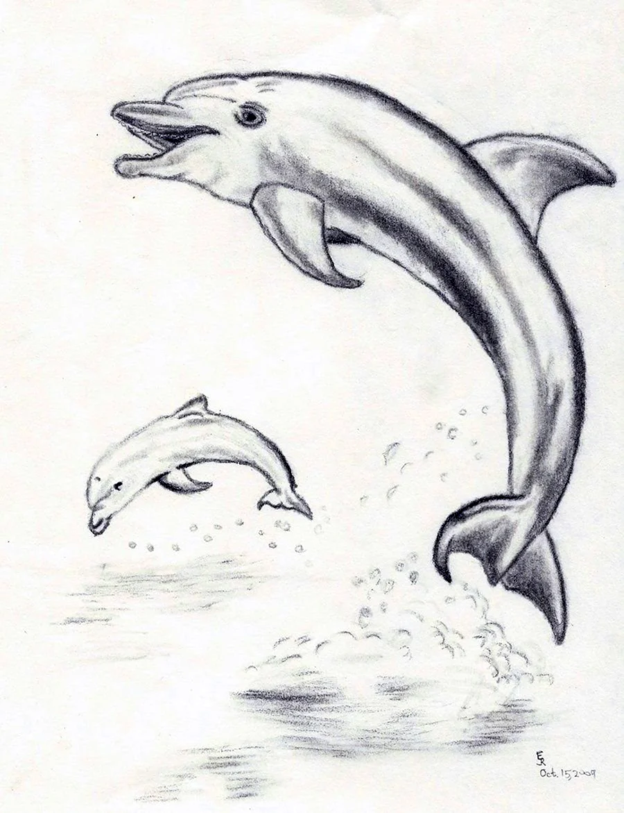 Стоковые фотографии по запросу Мультяшный дельфин
