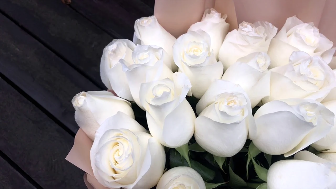 Белые голландские розы много