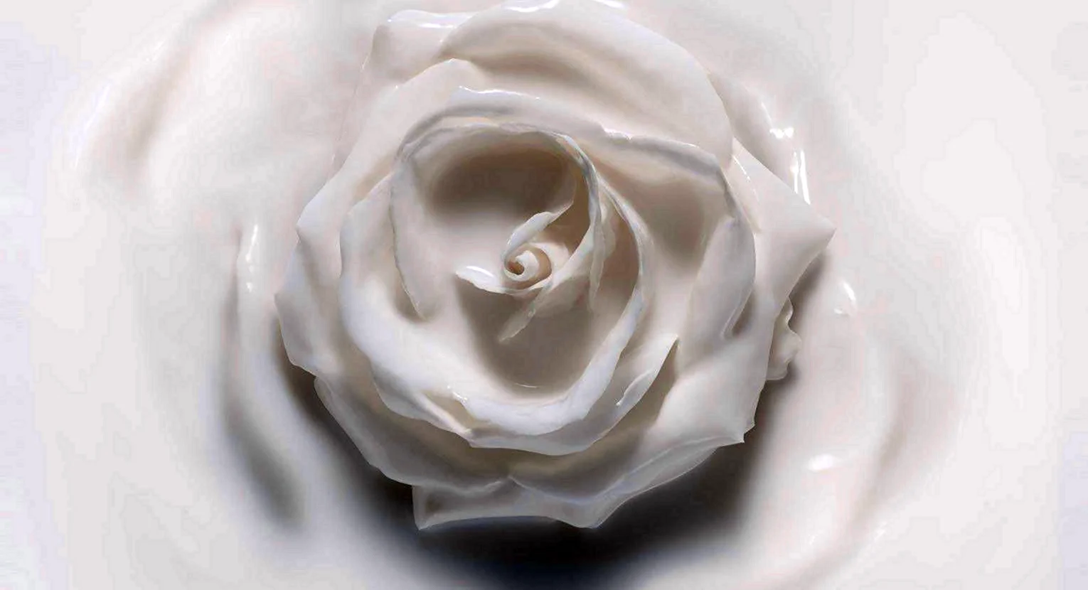 Белые розы текстура
