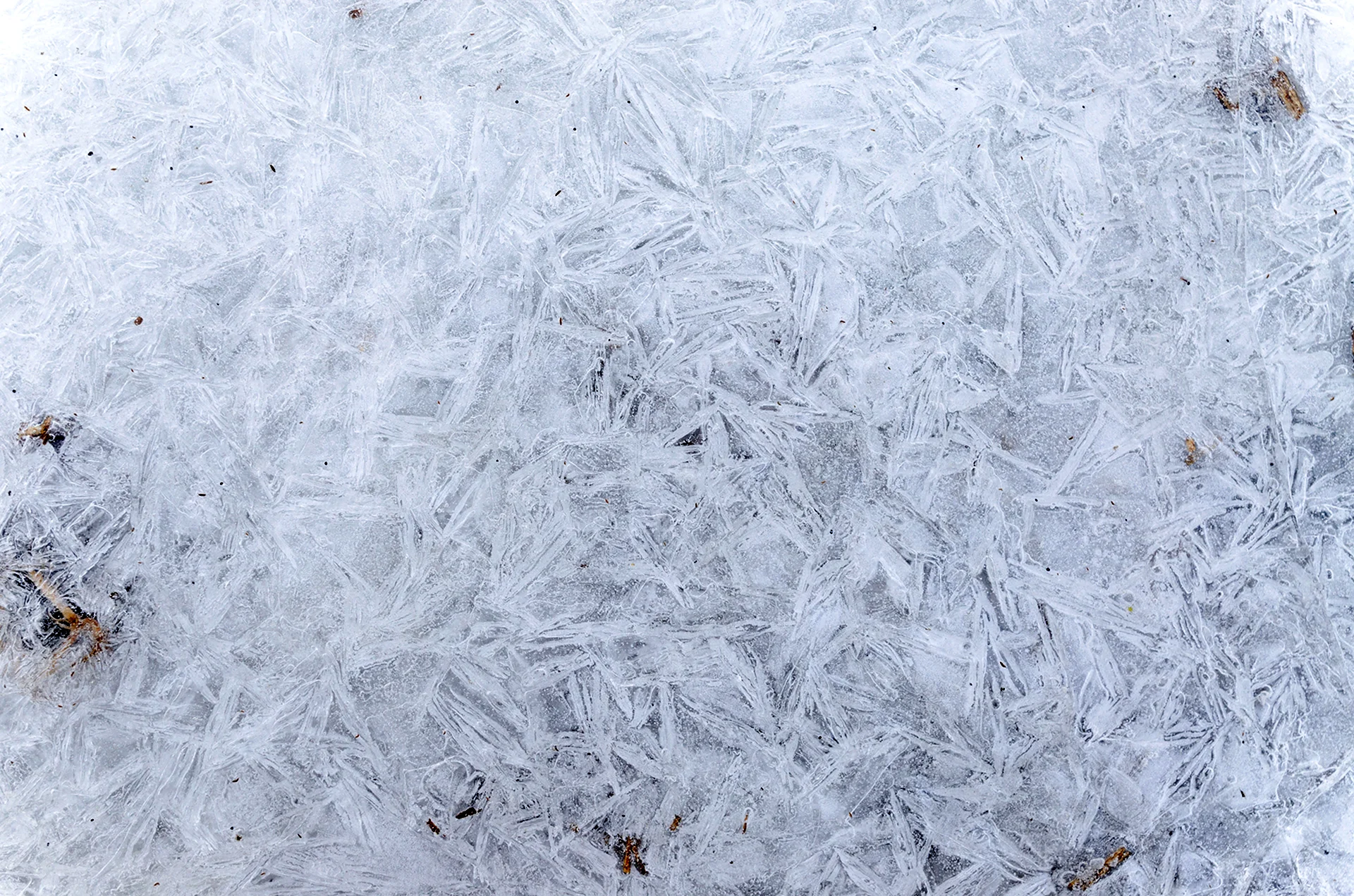 Белый лед текстура