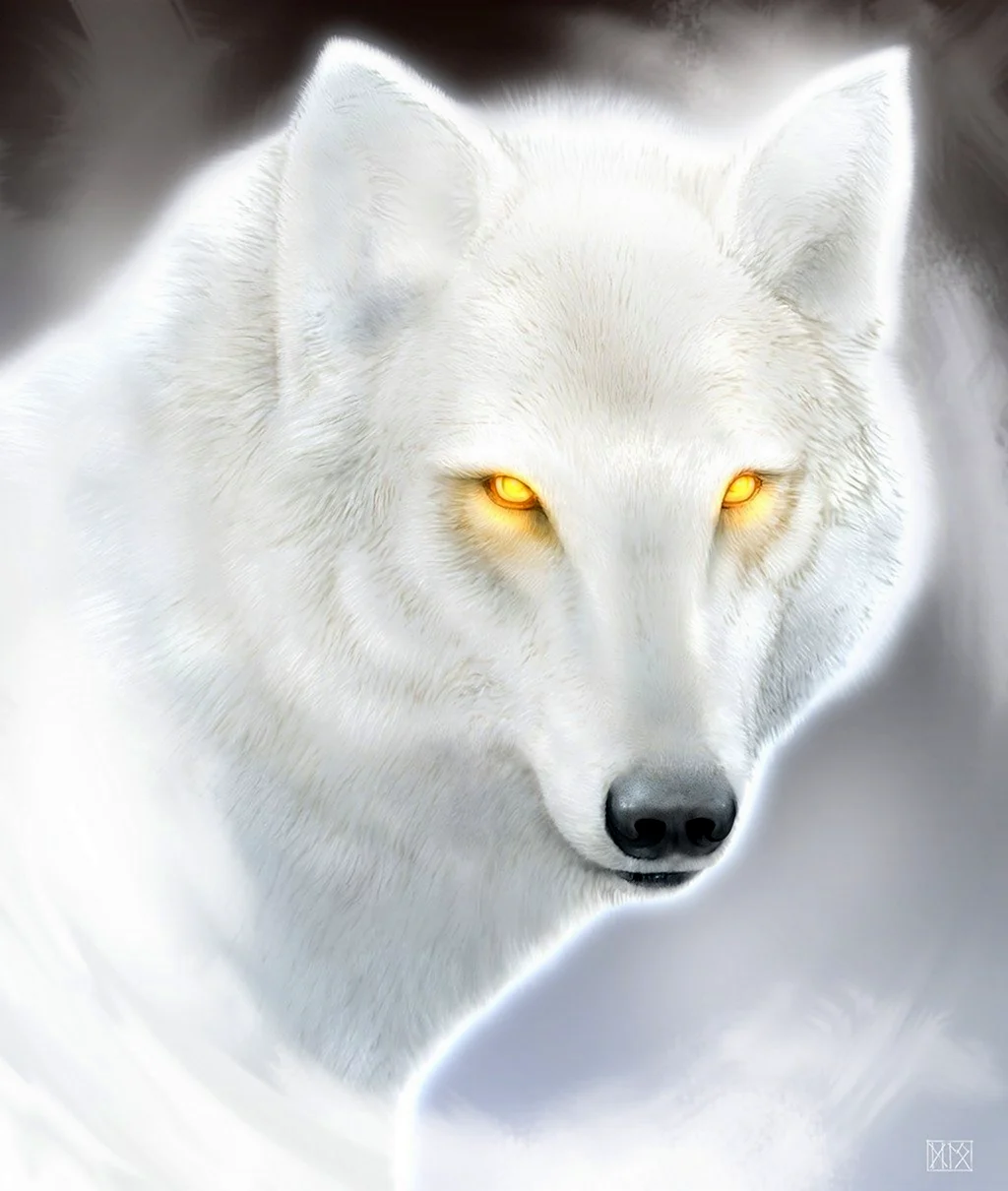 Белый волк с голубыми глазами
