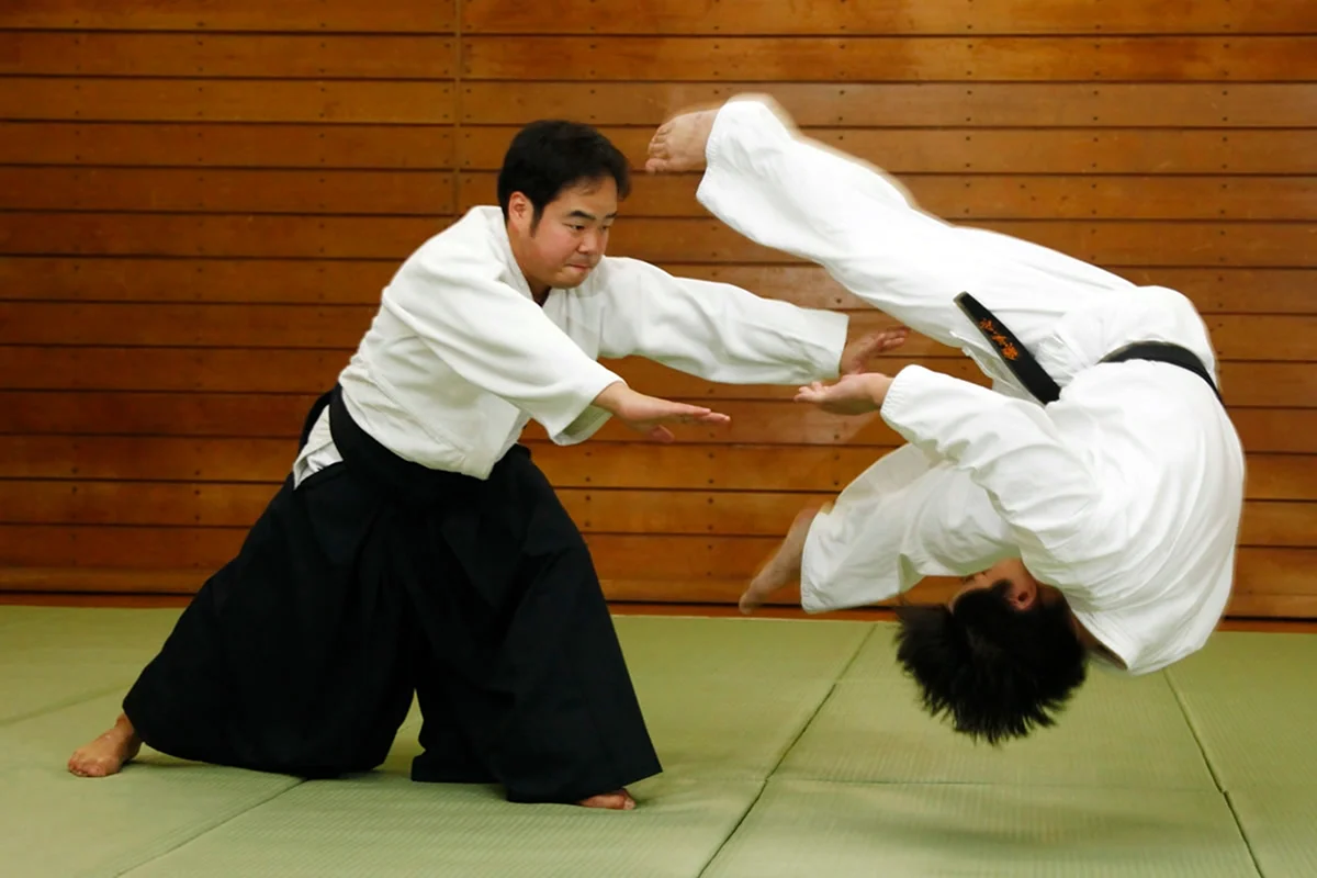 Боевые искусства Японии айкидо