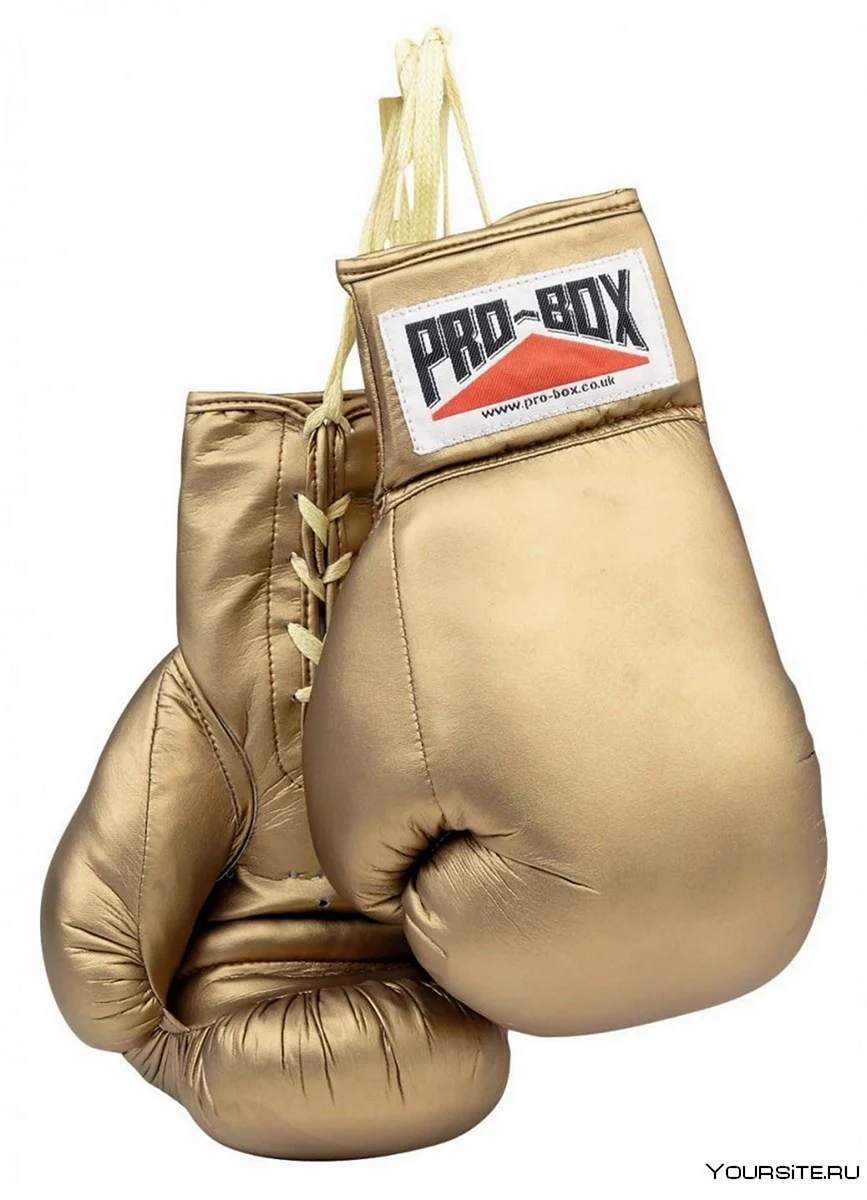 Боксерские перчатки Boxing Gloves Pro-001-l