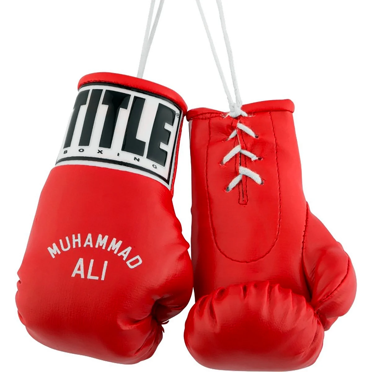 Боксерские перчатки title Boxing Ali
