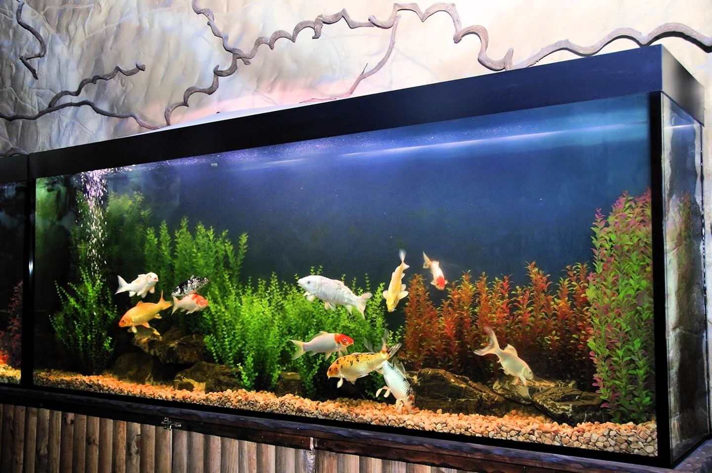 Большой аквариум с рыбками