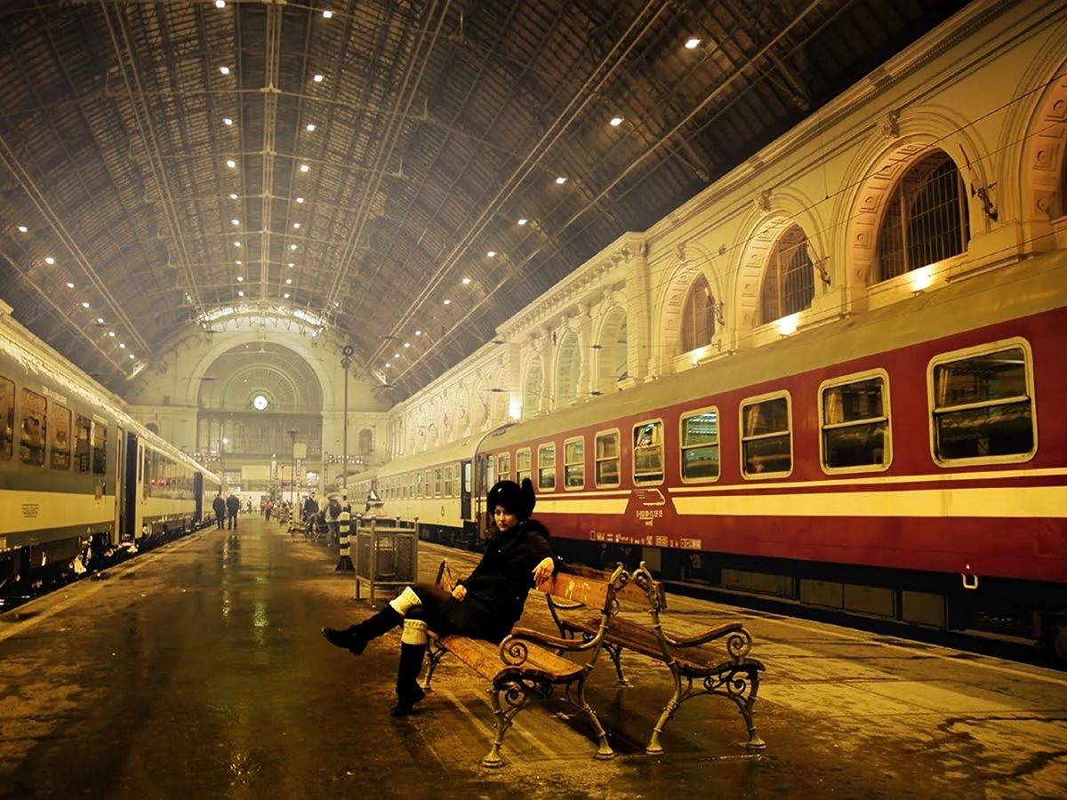 Будапешт вокзал перрон