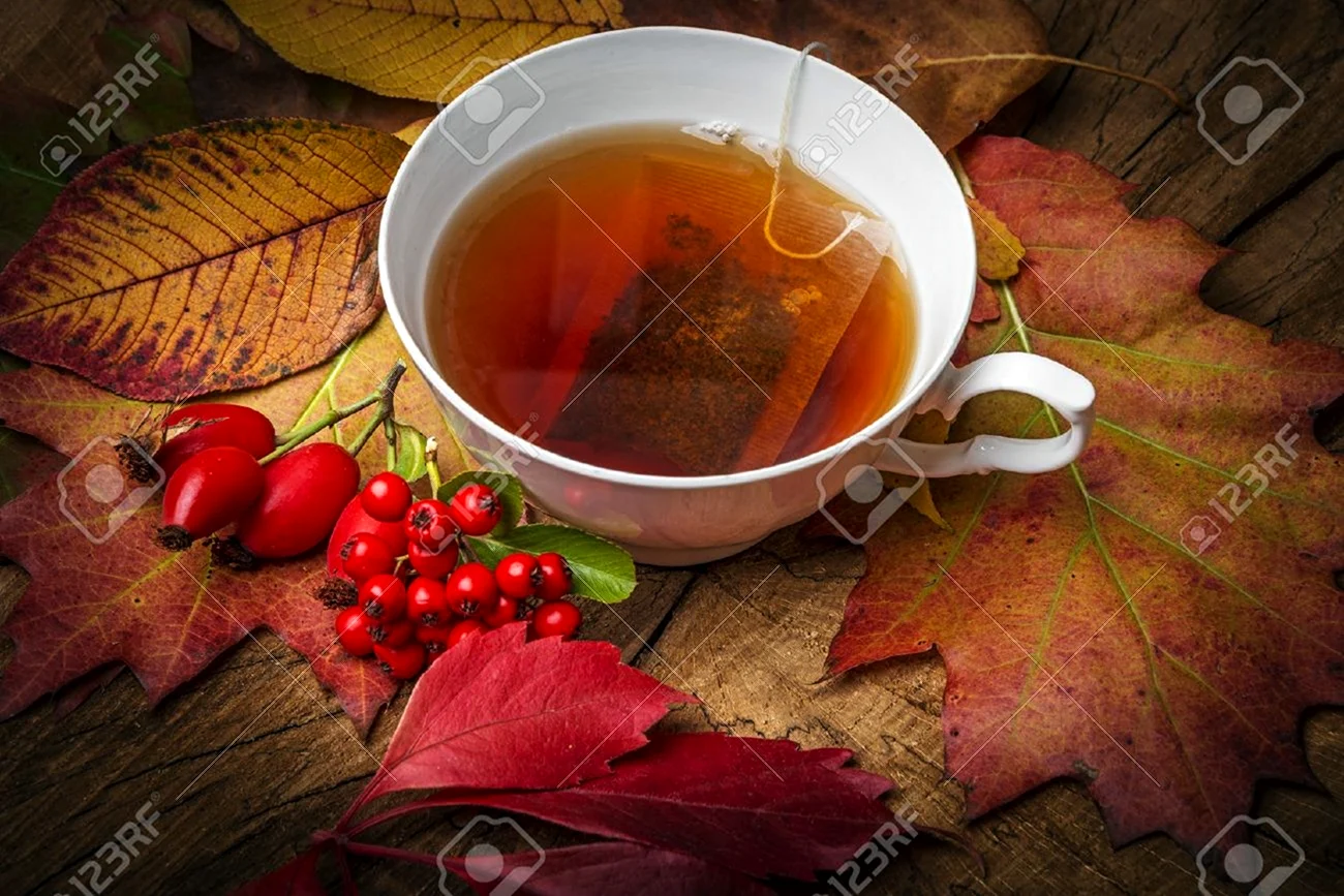 Чашка чая осень