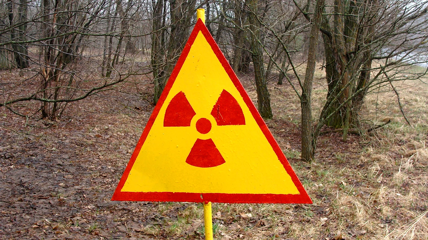 Чернобыль зона радиации