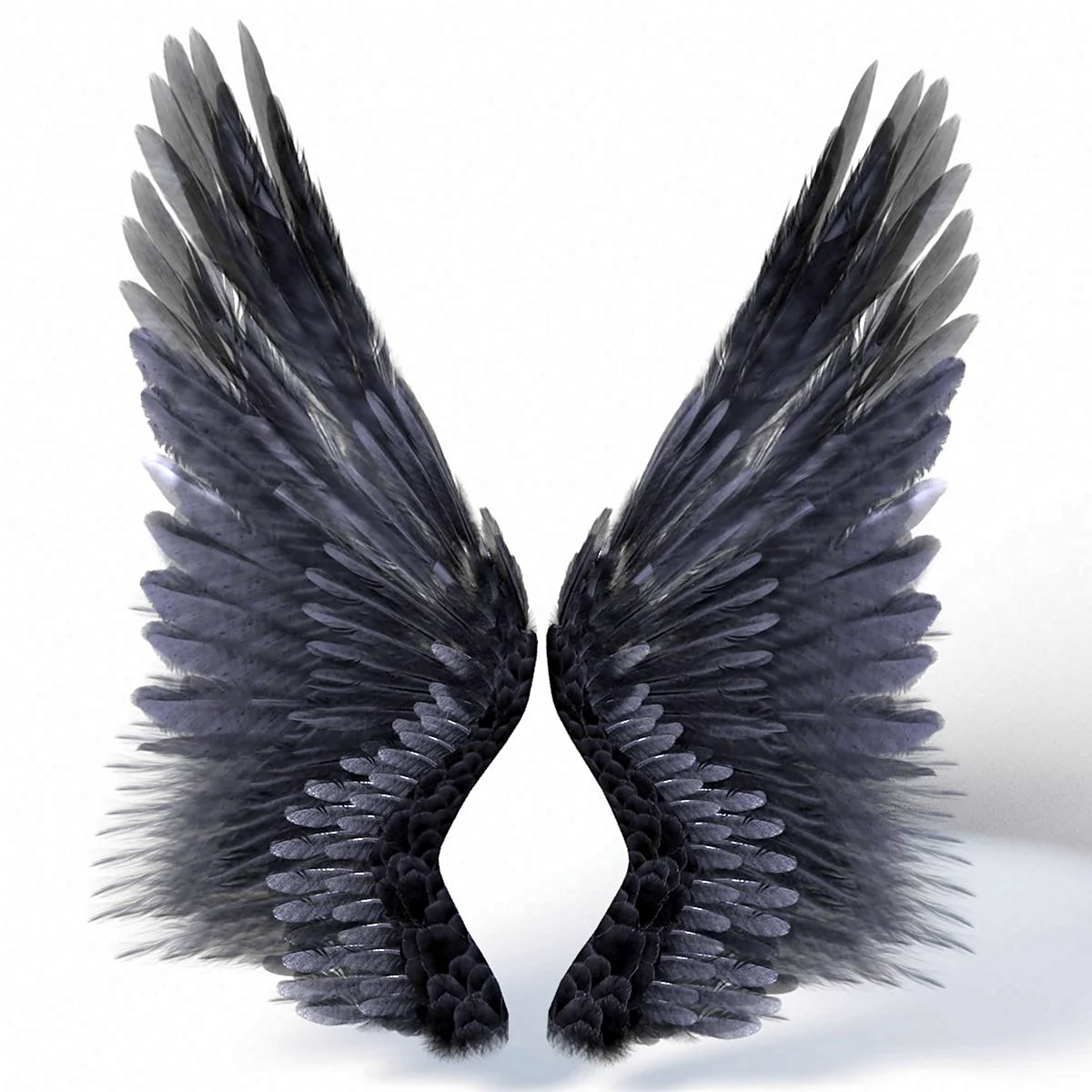 Черные Крылья