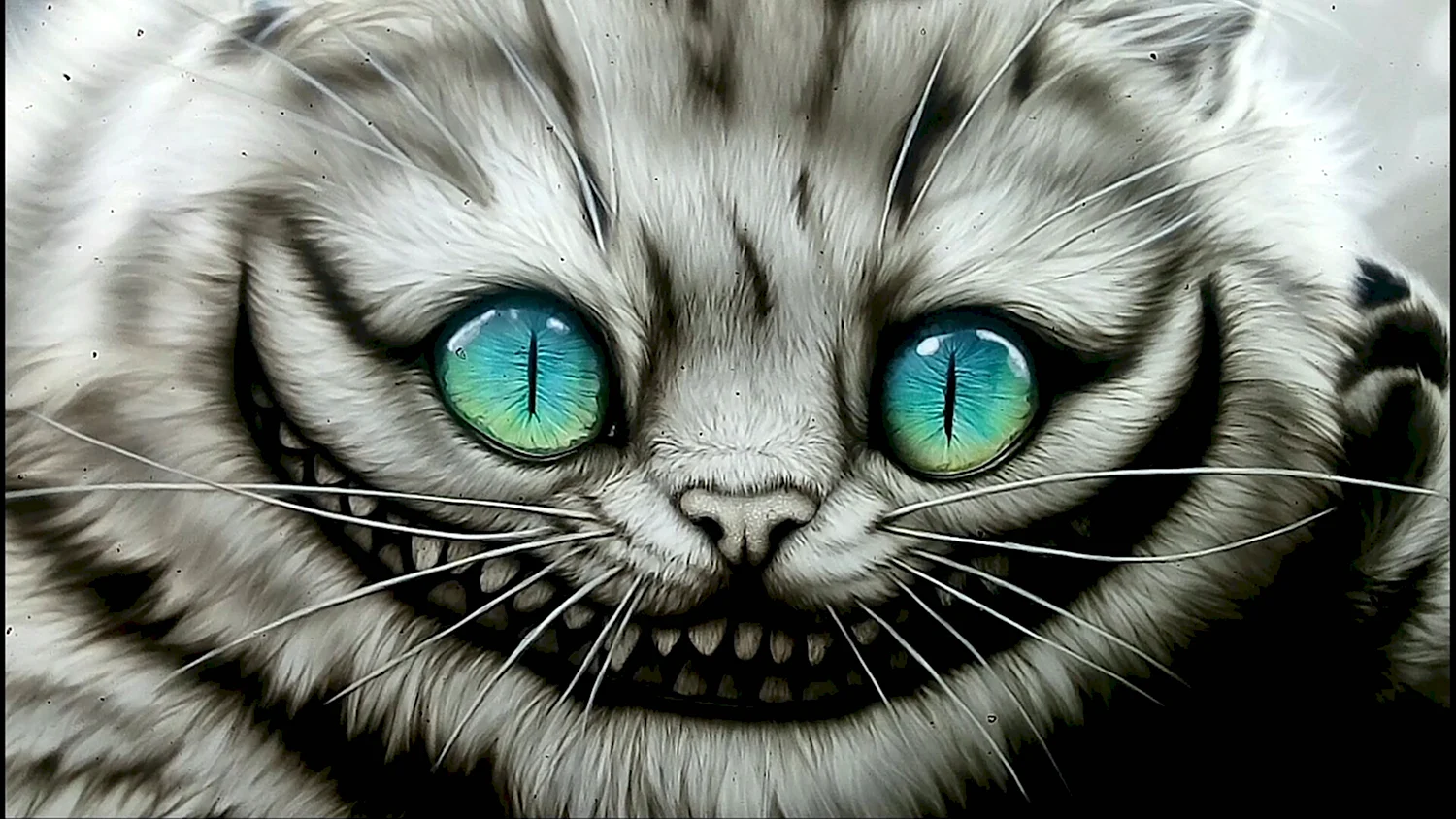 Чеширский кот серый