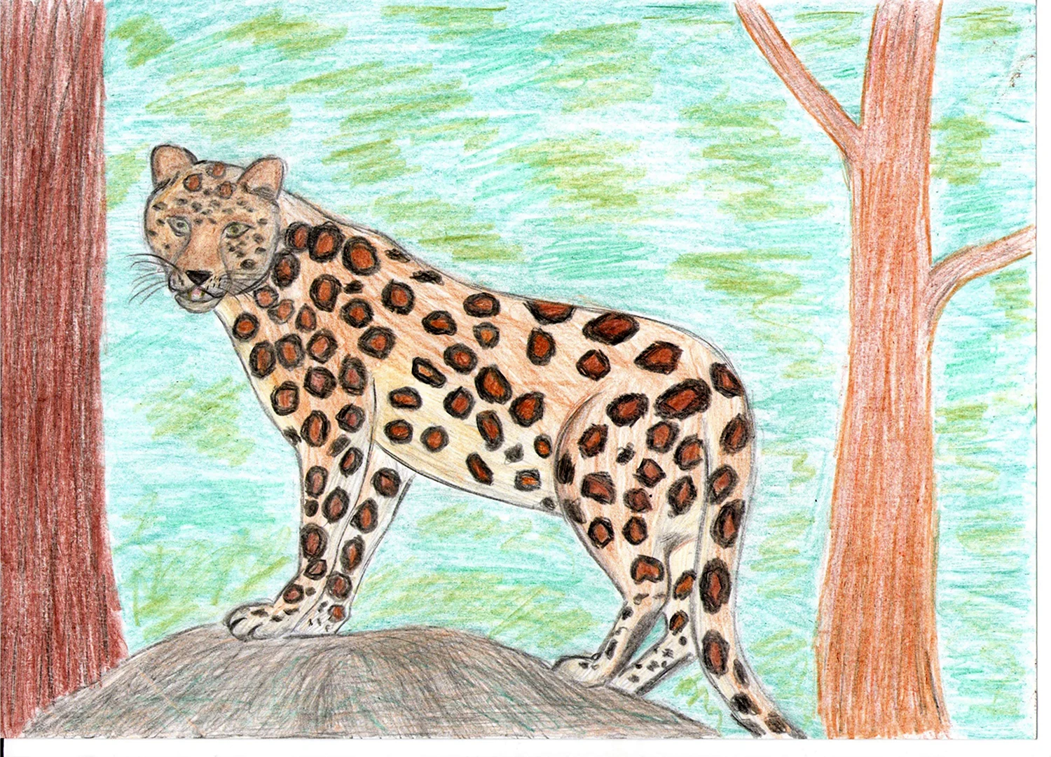 Раскраска Леопард дальневосточный амурский распечатать, скачать, раскрасить онлайн