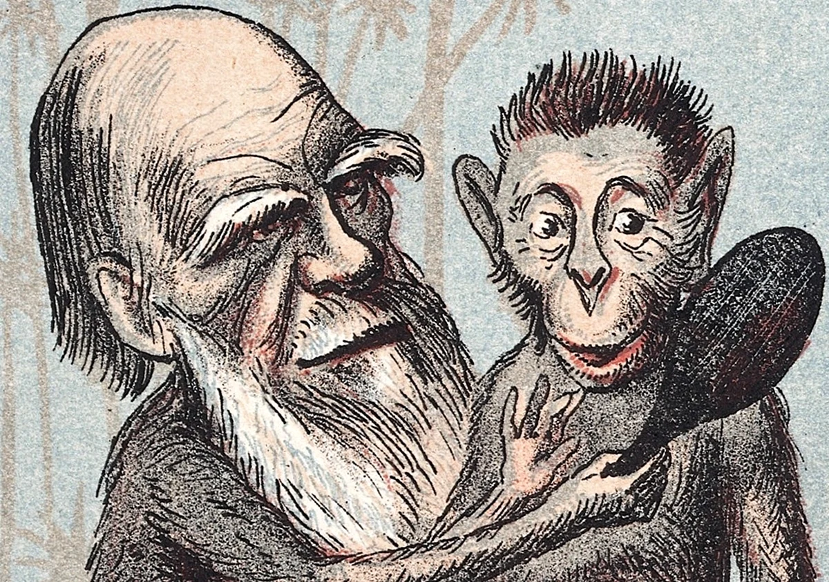 Дарвин обезьяна