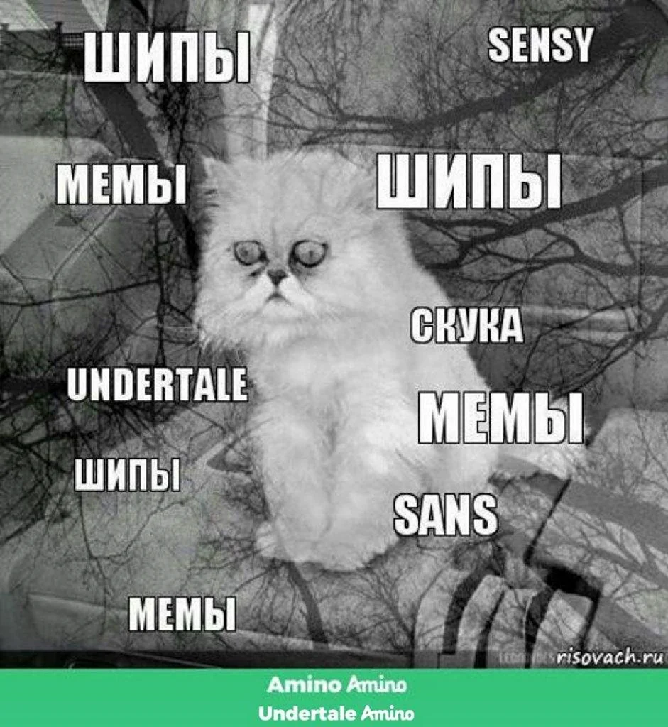Депрессивные коты мемы
