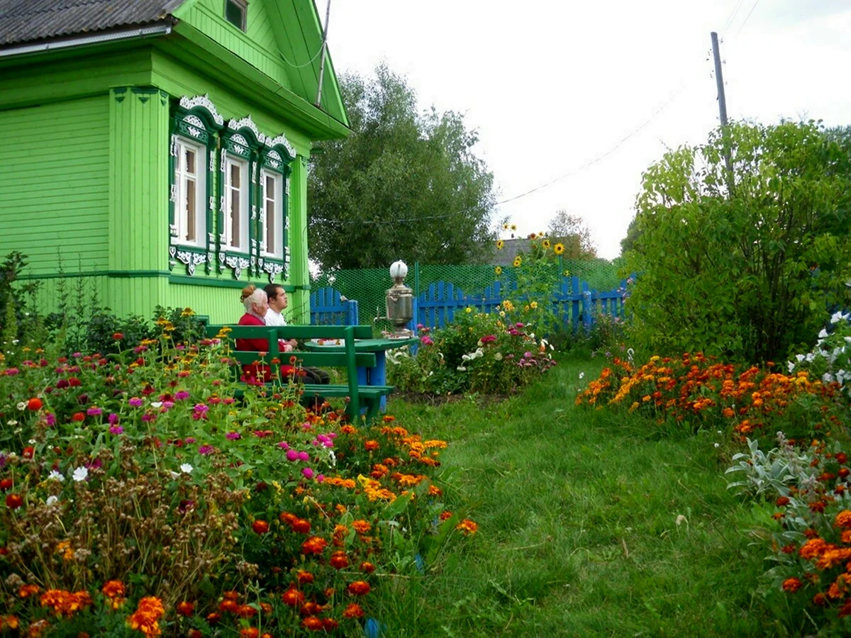 Деревенский домик с огородом