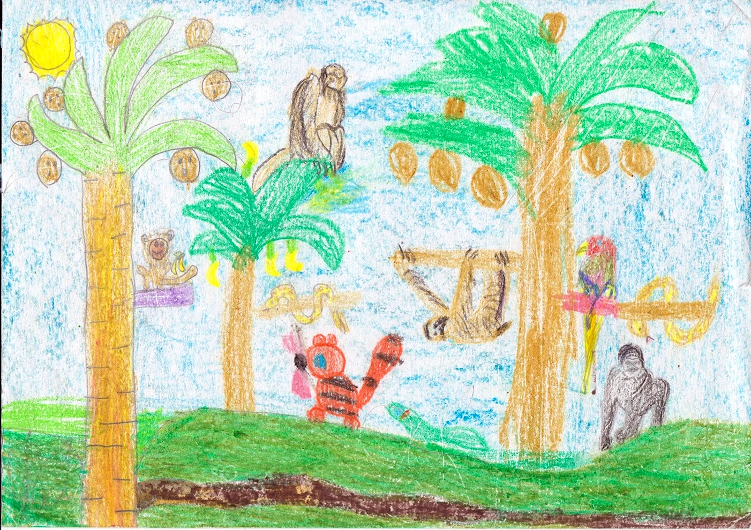 Детские рисунки джунглей для детей