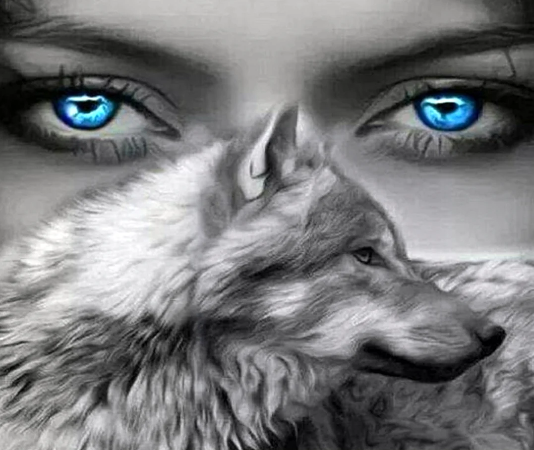 Девушка с глазами волка