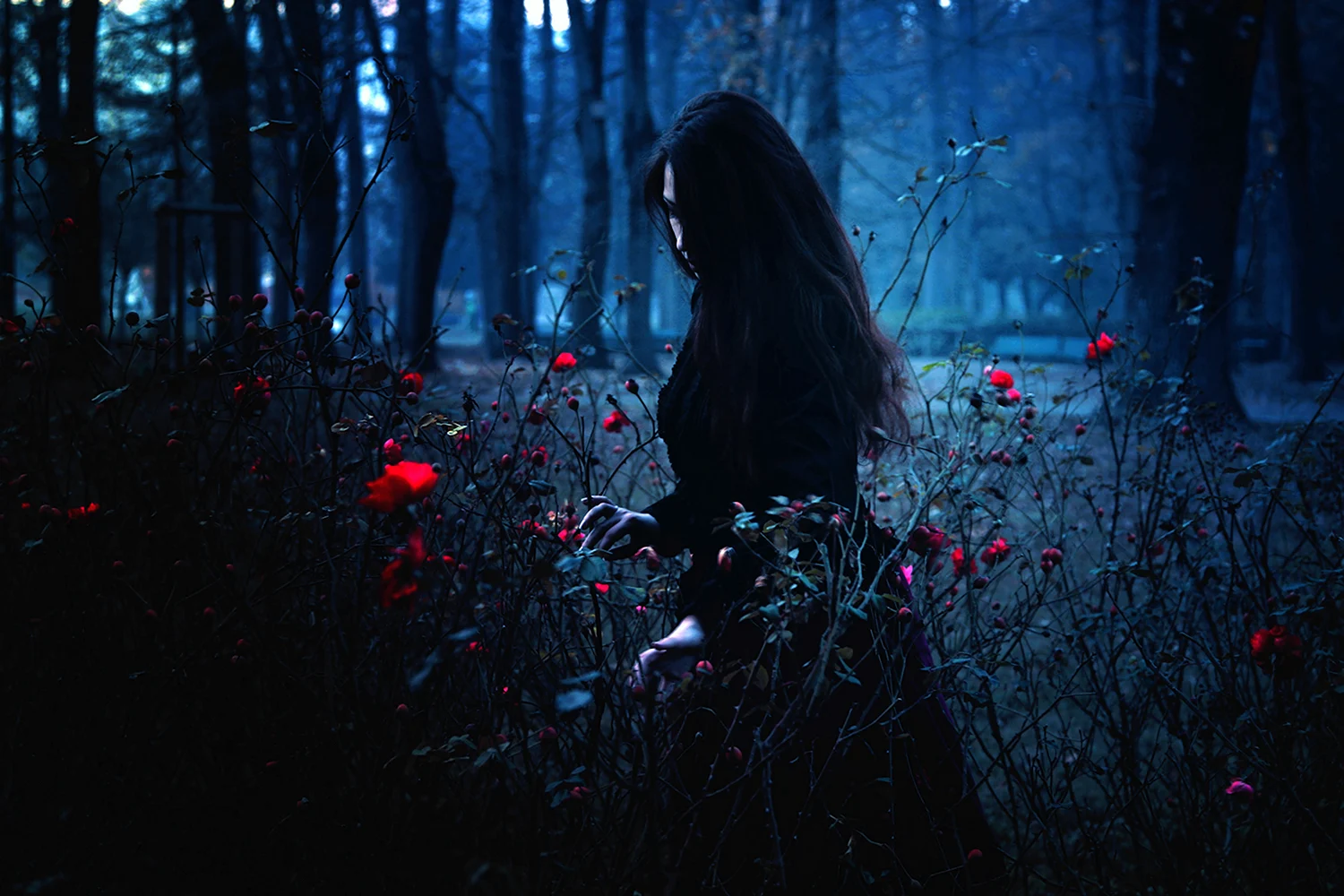 Девушка в ночном лесу