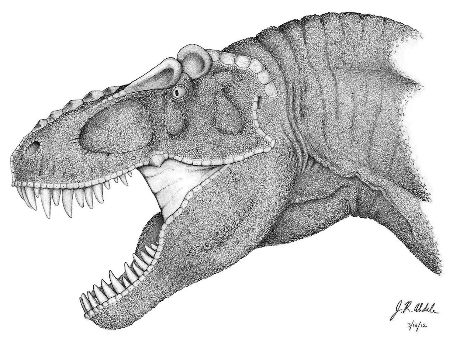 Как нарисовать (рисовать) динозавра - поэтапные рисунки и видеоуроки