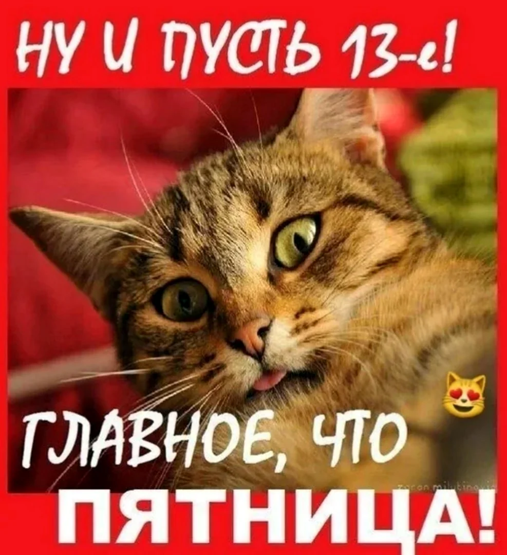 Пятница 13 открытки приколы