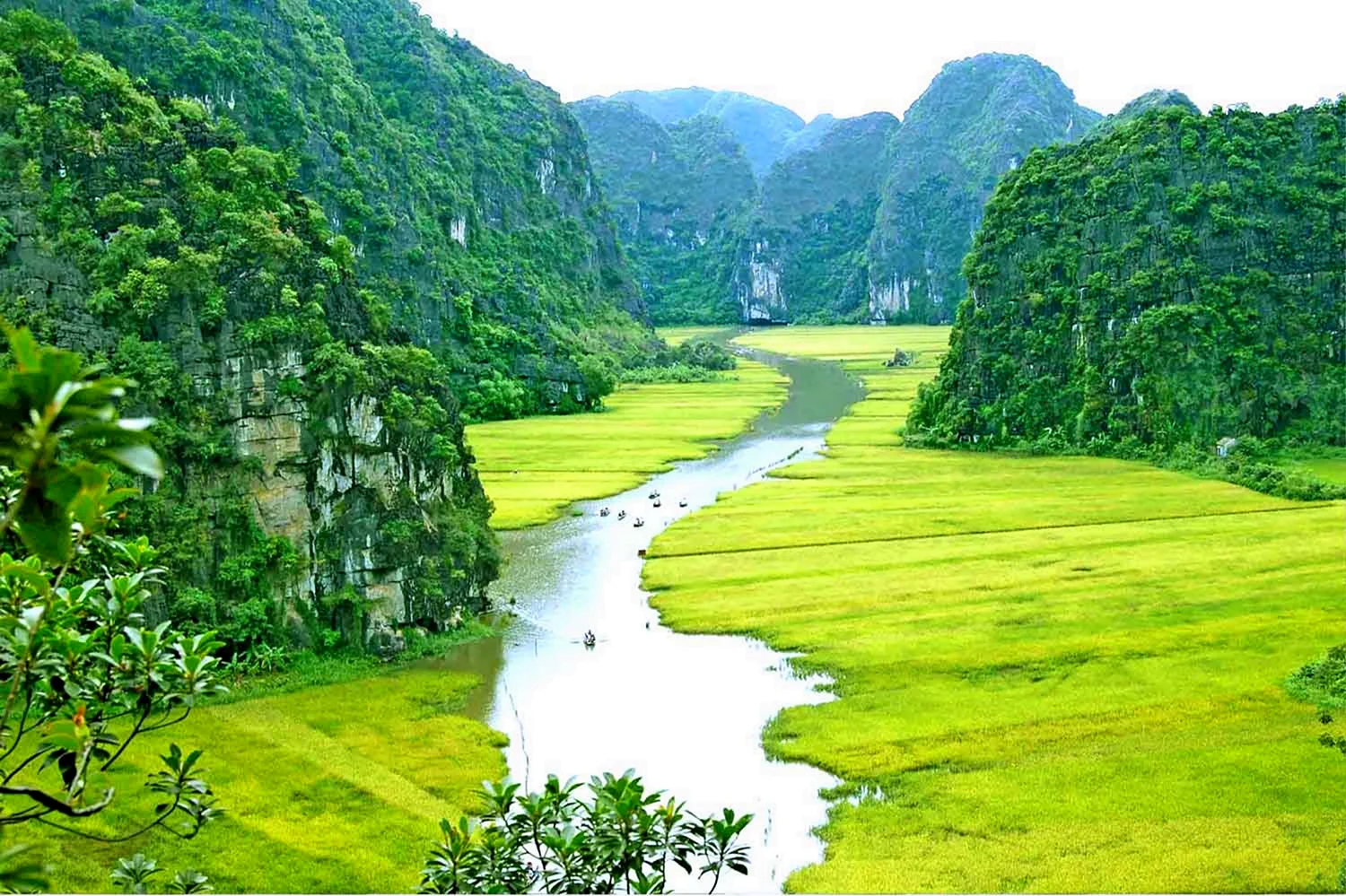 Долина БОНСОН Вьетнам